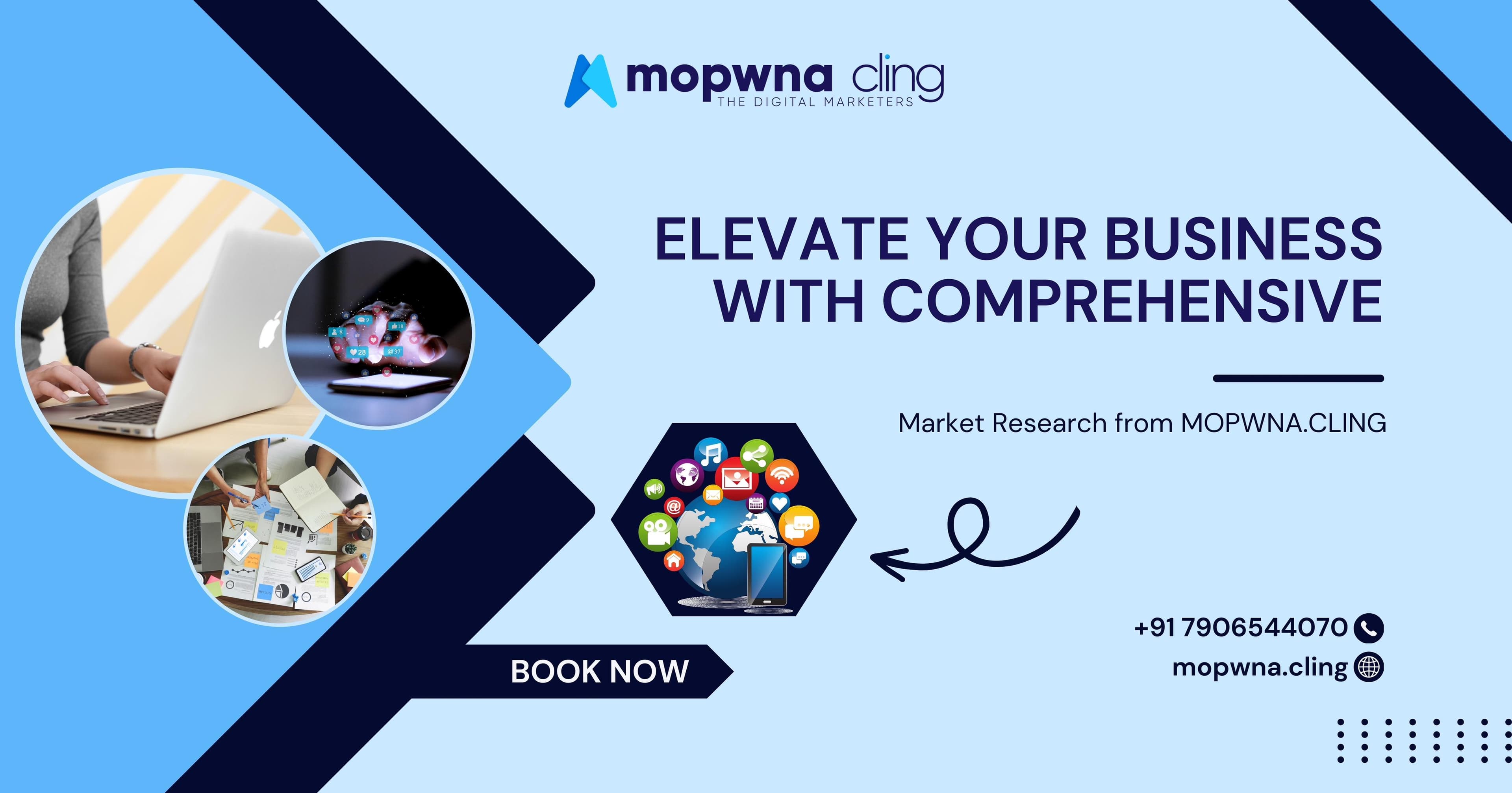 Elevate Your Business with Comprehensive Market Research from MOPWNA.CLING