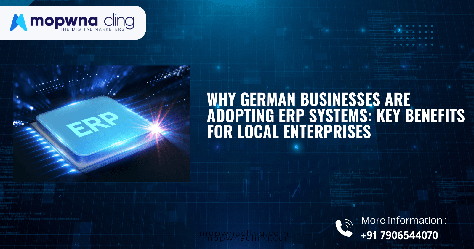 Why German Businesses Are Adopting ERP Systems: Key Benefits for Local Enterprises