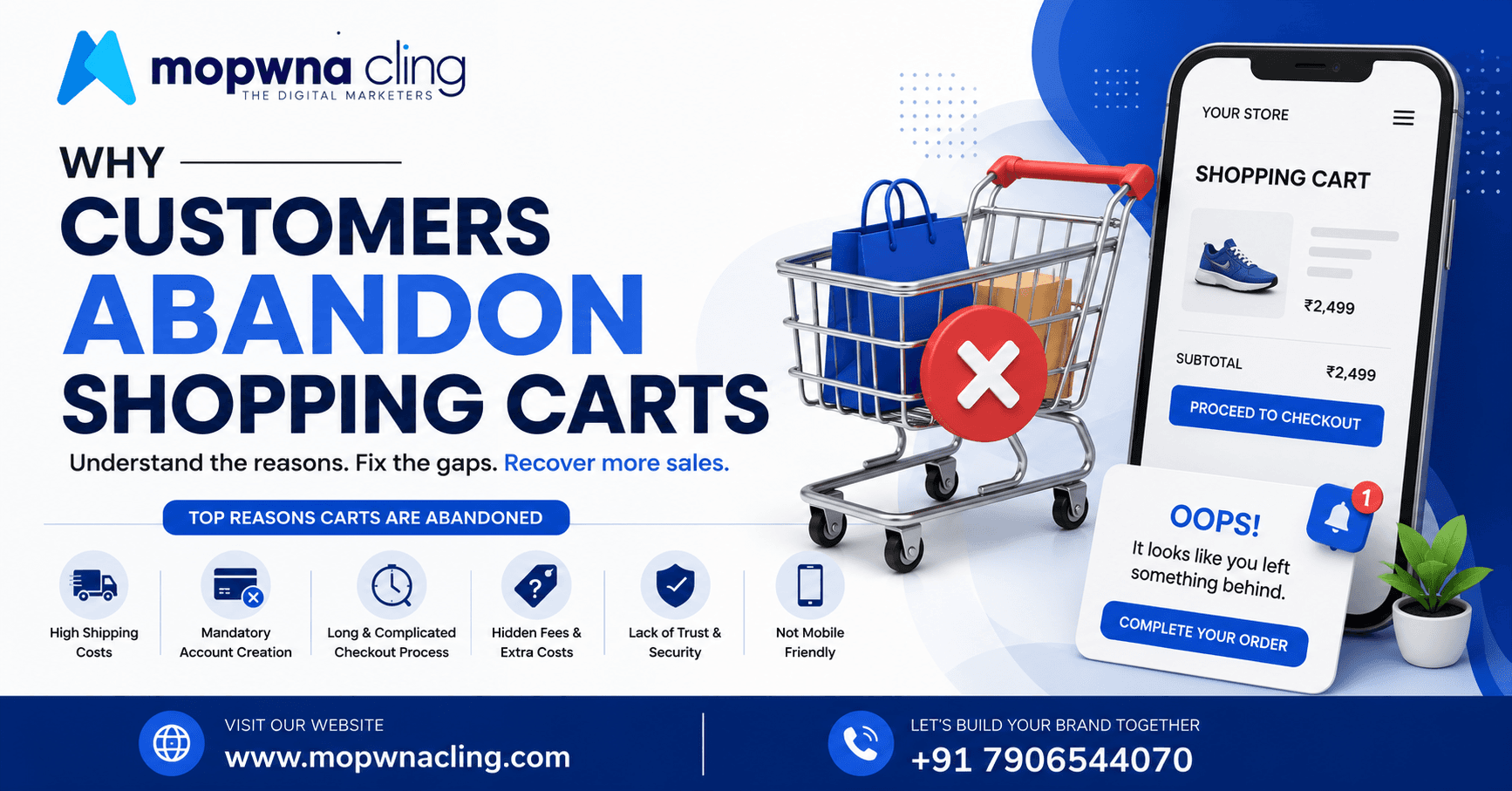 Why Customer Abandon Shopping Cart